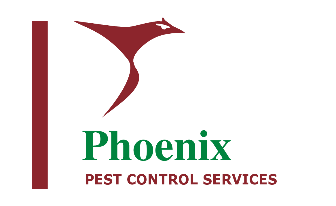 Phoenix Pest Control Services